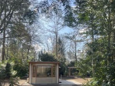 RCN Vakantiepark het Grote Bos - Camping Utrechtse Heuvelrug
