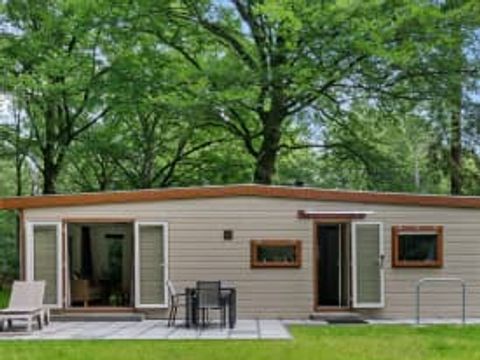 RCN Vakantiepark het Grote Bos - Camping Utrechtse Heuvelrug - Image N°5