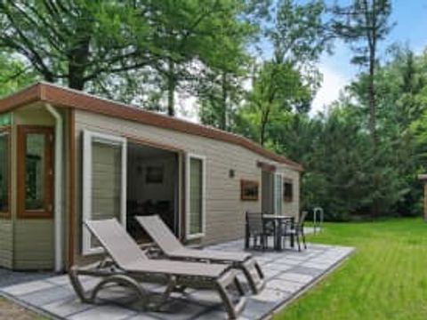 RCN Vakantiepark het Grote Bos - Camping Utrechtse Heuvelrug - Image N°4