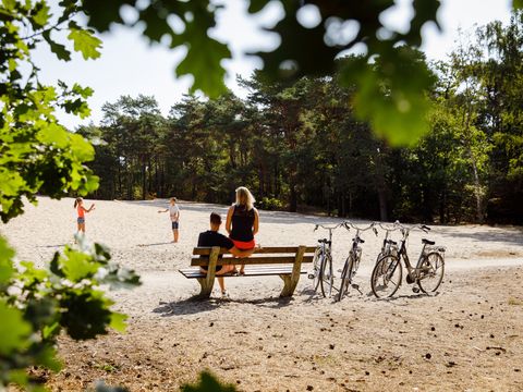 RCN Vakantiepark het Grote Bos - Camping Utrechtse Heuvelrug