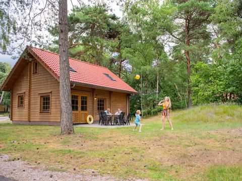 RCN Vakantiepark het Grote Bos - Camping Utrechtse Heuvelrug - Image N°32