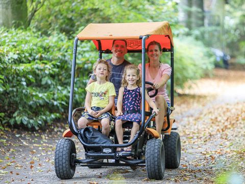 RCN Vakantiepark het Grote Bos - Camping Utrechtse Heuvelrug