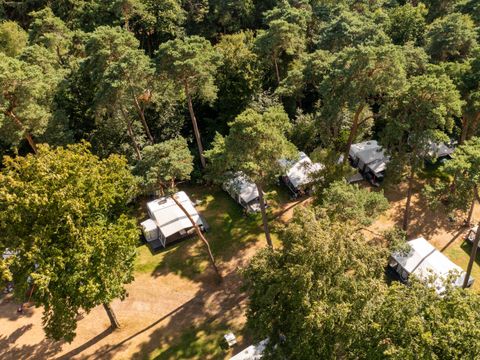 RCN Vakantiepark het Grote Bos - Camping Utrechtse Heuvelrug - Image N°43