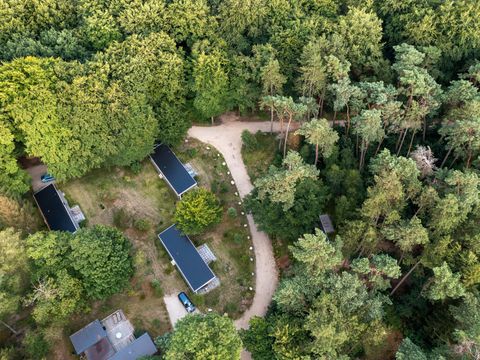 RCN Vakantiepark het Grote Bos - Camping Utrechtse Heuvelrug - Image N°42
