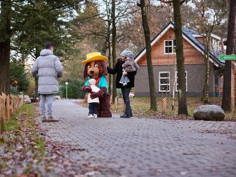 RCN Vakantiepark het Grote Bos - Camping Utrechtse Heuvelrug - Image N°12