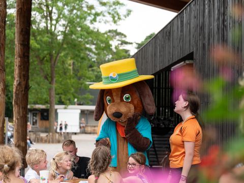 RCN Vakantiepark het Grote Bos - Camping Utrechtse Heuvelrug - Image N°9