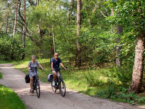 RCN Vakantiepark het Grote Bos - Camping Utrechtse Heuvelrug
