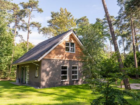 RCN Vakantiepark het Grote Bos - Camping Utrechtse Heuvelrug - Image N°41