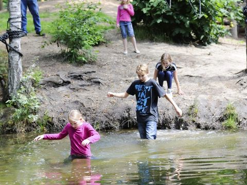 RCN Vakantiepark het Grote Bos - Camping Utrechtse Heuvelrug - Image N°17