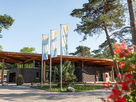 RCN Vakantiepark het Grote Bos - Camping Utrechtse Heuvelrug - Image N°7