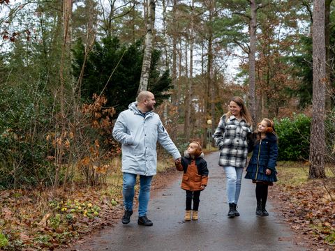 RCN Vakantiepark het Grote Bos - Camping Utrechtse Heuvelrug - Image N°37