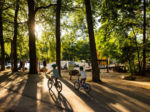 RCN Vakantiepark het Grote Bos - Camping Utrechtse Heuvelrug