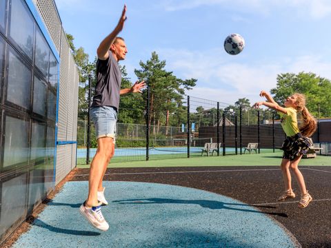 RCN Vakantiepark het Grote Bos - Camping Utrechtse Heuvelrug