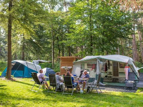 RCN Vakantiepark het Grote Bos - Camping Utrechtse Heuvelrug - Image N°34