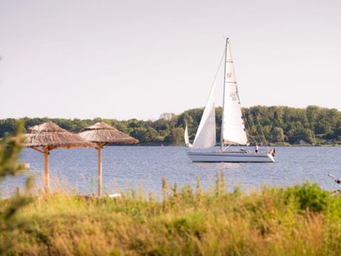 RCN Vakantiepark De Schotsman - Camping Beveland-Nord - Image N°41