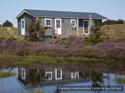 Texelcamping Loodsmansduin - Camping Texel - Image N°5