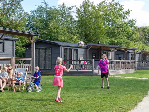 Molecaten Park 't Hout - Camping Opsterland - Image N°25