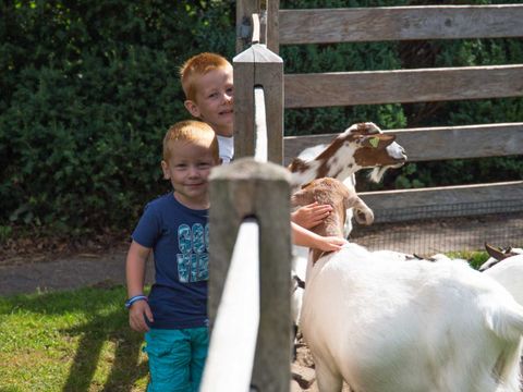 Molecaten Park 't Hout - Camping Opsterland - Image N°18