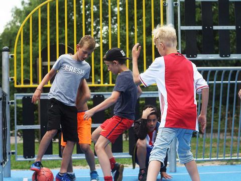 Molecaten Park 't Hout - Camping Opsterland