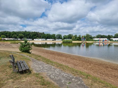 Verblijfpark Breebos - Camping Anvers - Image N°25