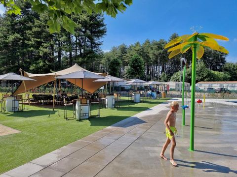 Verblijfpark Breebos - Camping Anvers - Image N°13