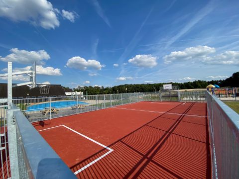 Verblijfpark Breebos - Camping Anvers - Image N°11