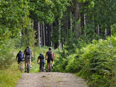 Verblijfpark Ardinam - Camping Namur - Image N°2