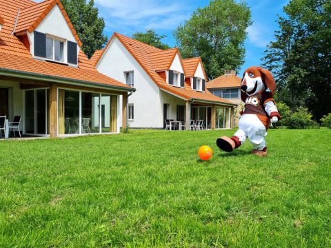 Dormio Resort Berck-sur-Mer - Camping Pas-de-Calais - Image N°11