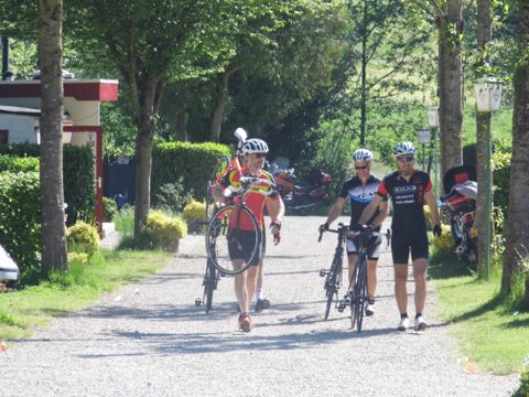 Ferienpark Eifellux - Camping Rhénanie-Palatinat - Image N°4