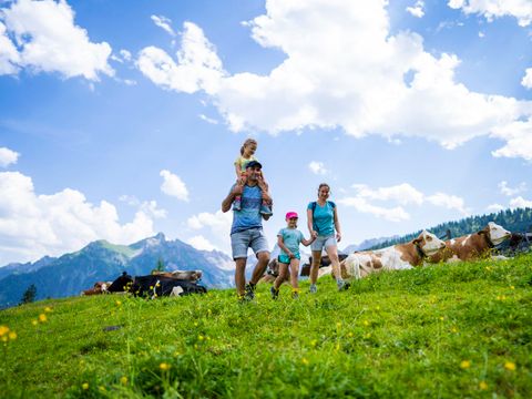 Landal Alpen Chalets Bad Kleinkirchheim - Camping Carinthie