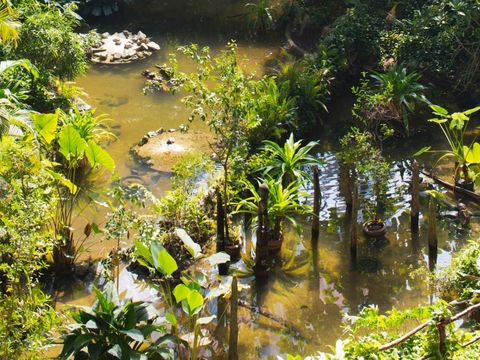 Tropical Islands Resort - Camping Brandebourg - Image N°41