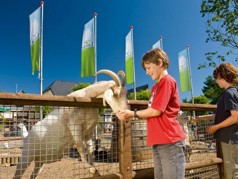 Landal Mont Royal - Camping Rhénanie-Palatinat - Image N°5