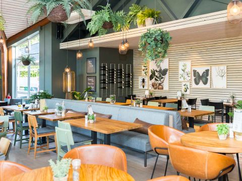 Landal Sonnenberg - Camping Rhénanie-Palatinat - Image N°2