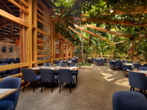 Center Parcs Park Allgäu  - Camping Bavière