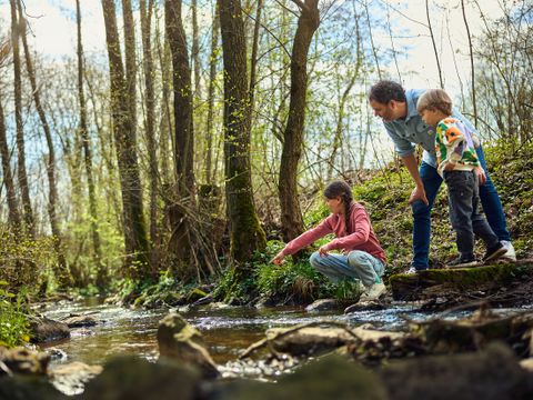 Center Parcs Park Hochsauerland - Camping Rhénanie du Nord-Westphalie - Image N°56