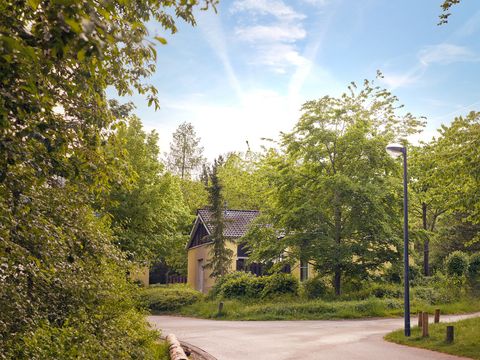 Center Parcs Park Hochsauerland - Camping Rhénanie du Nord-Westphalie