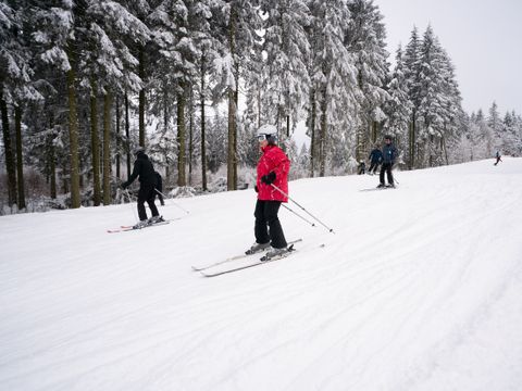 Center Parcs Park Hochsauerland - Camping Rhénanie du Nord-Westphalie