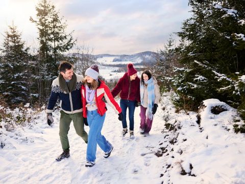 Center Parcs Park Hochsauerland - Camping Rhénanie du Nord-Westphalie - Image N°2