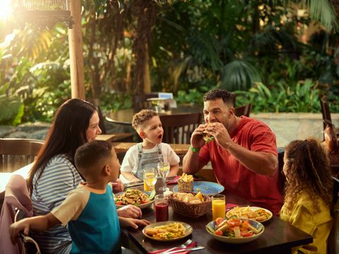 Center Parcs Park Hochsauerland - Camping Rhénanie du Nord-Westphalie