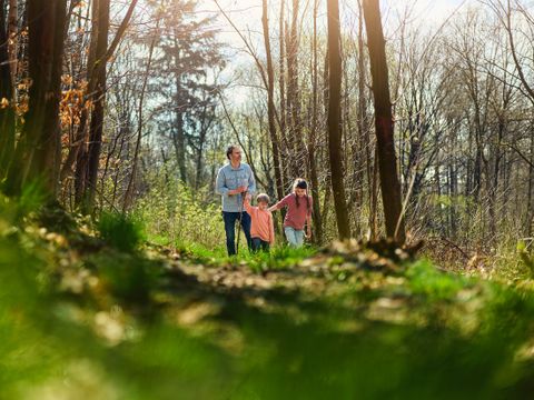 Center Parcs Park Hochsauerland - Camping Rhénanie du Nord-Westphalie - Image N°5
