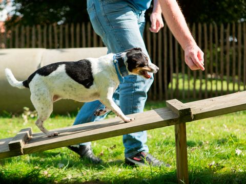 Landal Dwergter Sand - Camping Basse-saxe