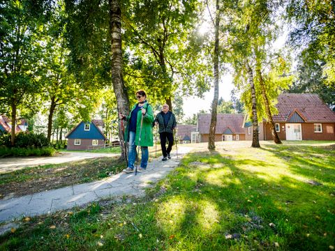 Landal Dwergter Sand - Camping Basse-saxe