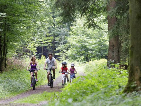 Center Parcs Park Bostalsee - Camping Sarre