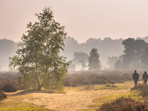 Park Berkenrhode - Camping Ede
