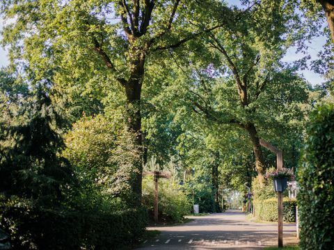 Park Berkenrhode - Camping Ede - Image N°5