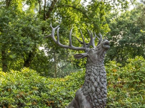 Park Berkenrhode - Camping Ede - Image N°32