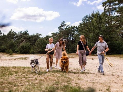 Park Berkenrhode - Camping Ede - Image N°2