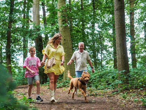 Landgoed Ruwinkel - Camping Scherpenzeel - Image N°26