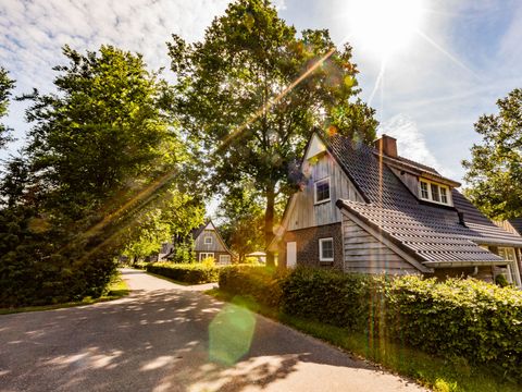 Hof van Salland - Camping Hellendoorn - Image N°5