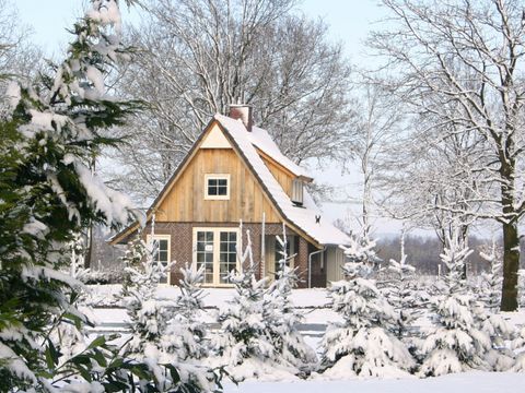 Hof van Salland - Camping Hellendoorn - Image N°21
